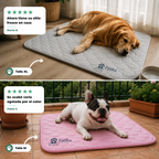 Patika Pets™ Cooling Mat ❄️ Cool Rest on Hot Days